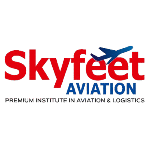 skyfeetaviation.com
