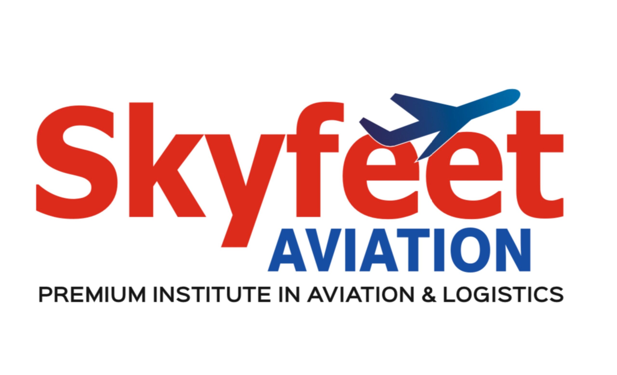 Skyfeet Aviation